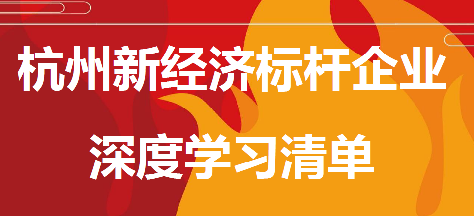 杭州新經(jīng)濟標桿企業(yè)